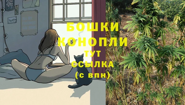 бутират Арсеньев